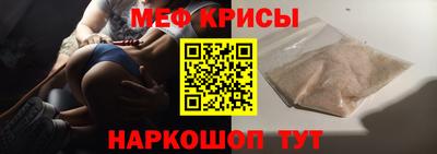 стафф Кингисепп