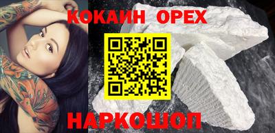 стафф Кингисепп