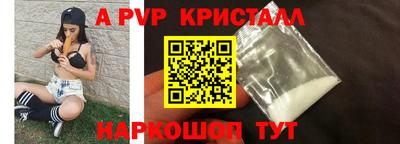 стафф Кингисепп