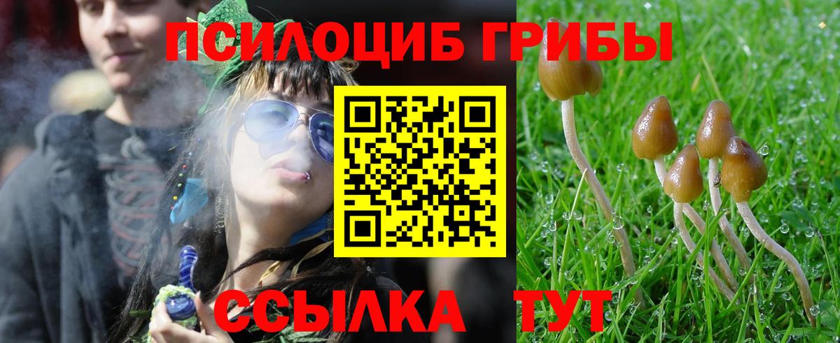 Ульяновск  Галлюциногенные грибы ЛСД  Вход с VPN 